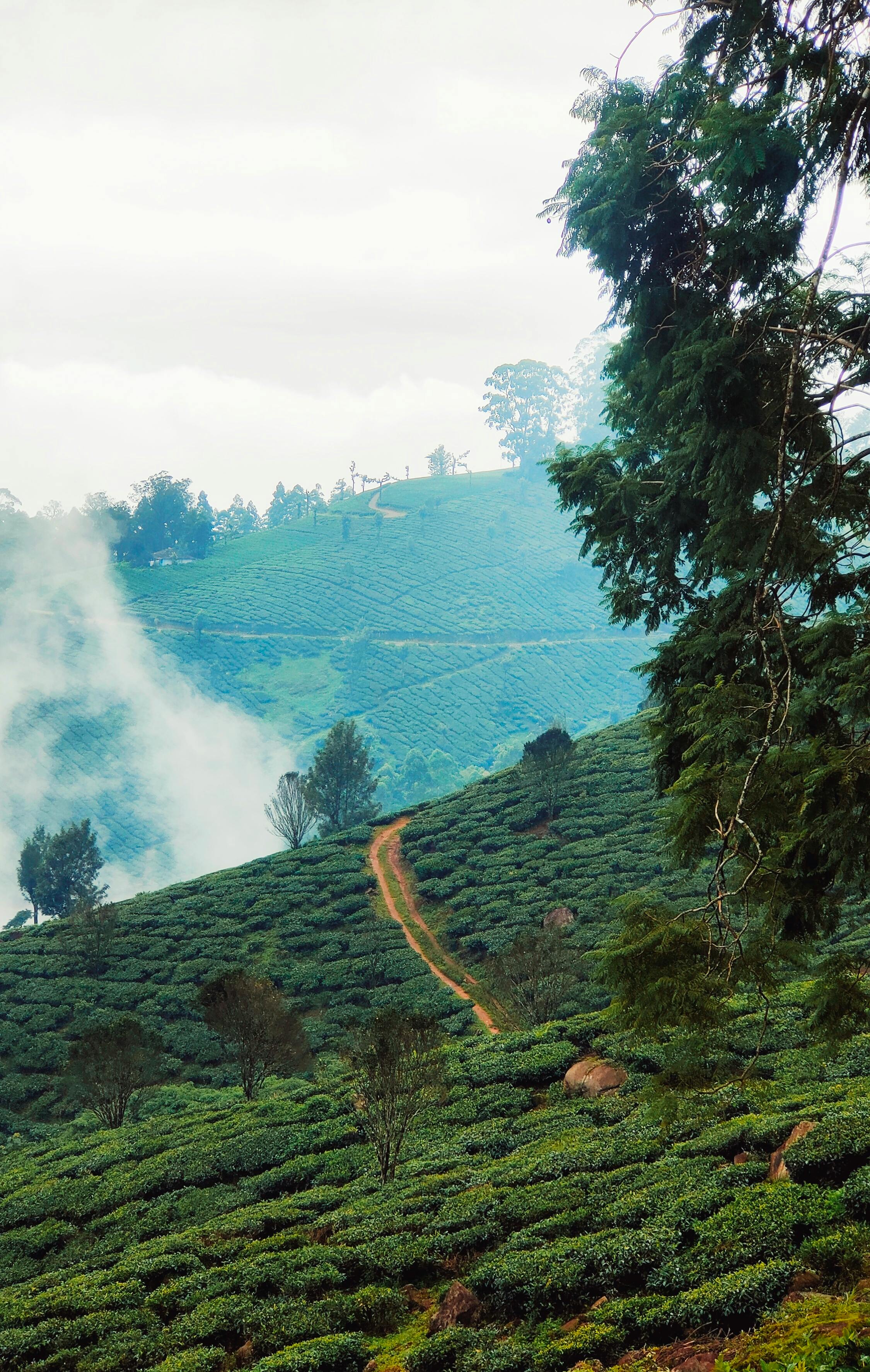 Munnar