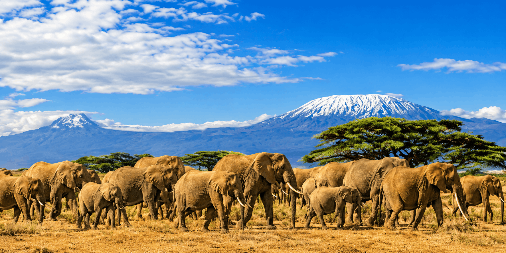 Kenya