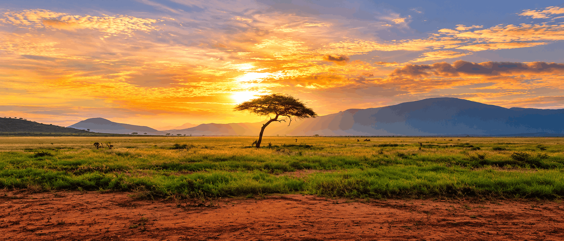 Africa