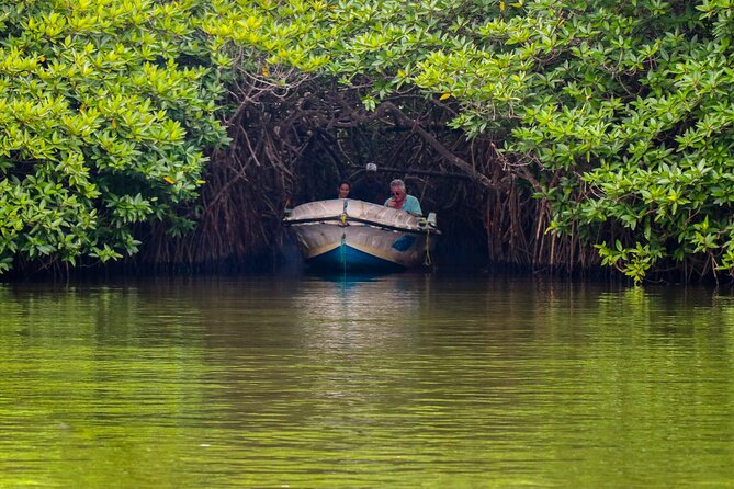 Bentota – Madu River Safari – Colombo City Tour