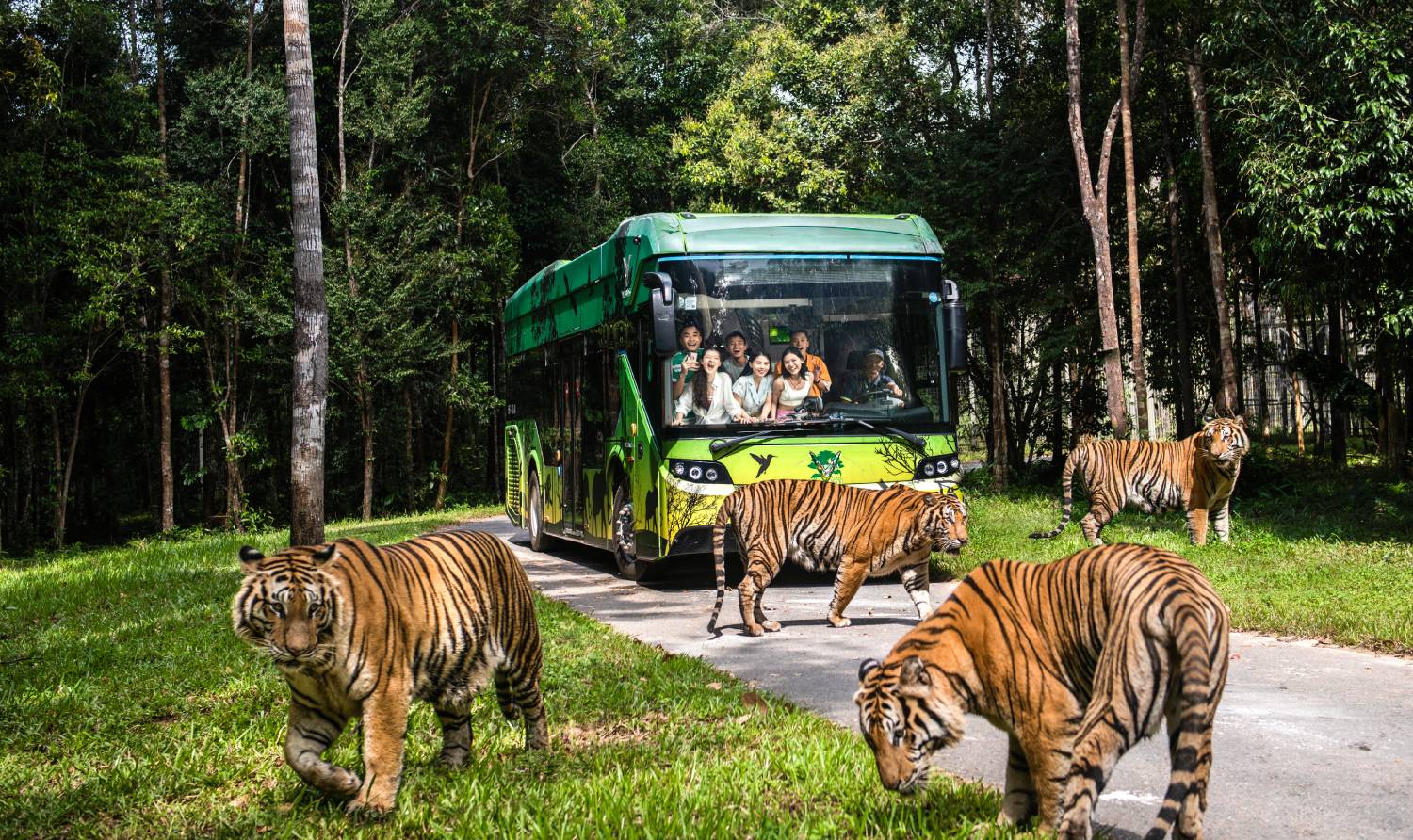 VINWONDER AND SAFARI WITH CAR TRANSFER/ NO GUIDE - buffet lunch[B/L]