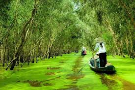 Mekong Delta Tour