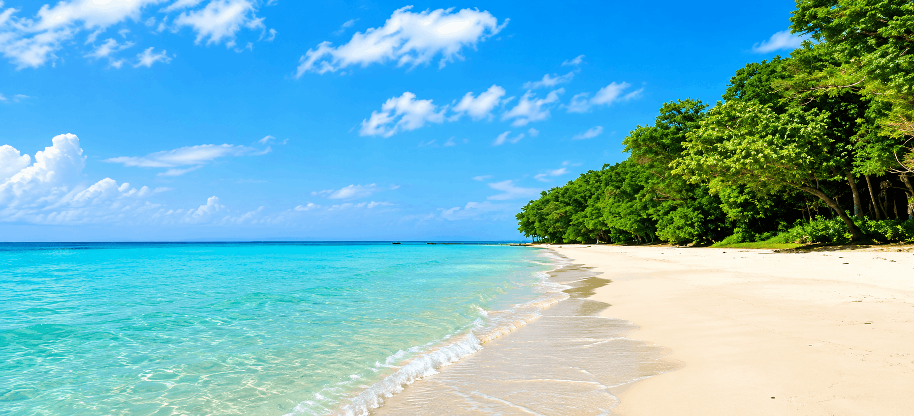 Port Blair to Havelock - Transfer to Havelock - Radhanagar Beach.