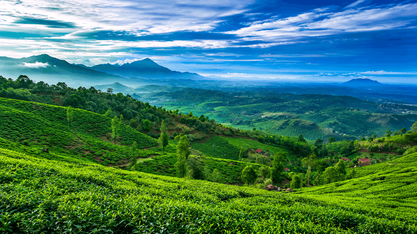Wayanad - 2N 3D