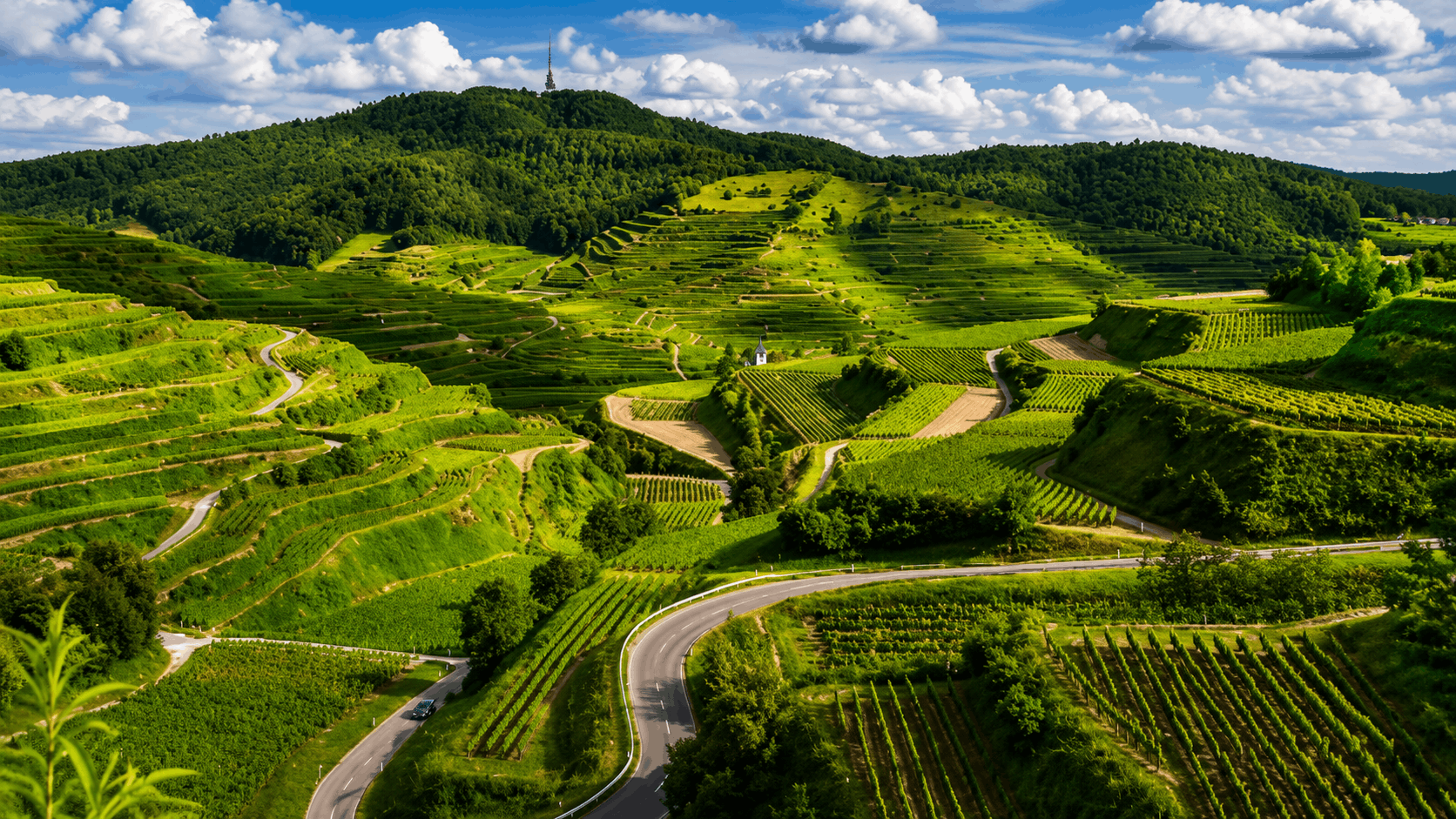 Coorg Tour Package from Chennai