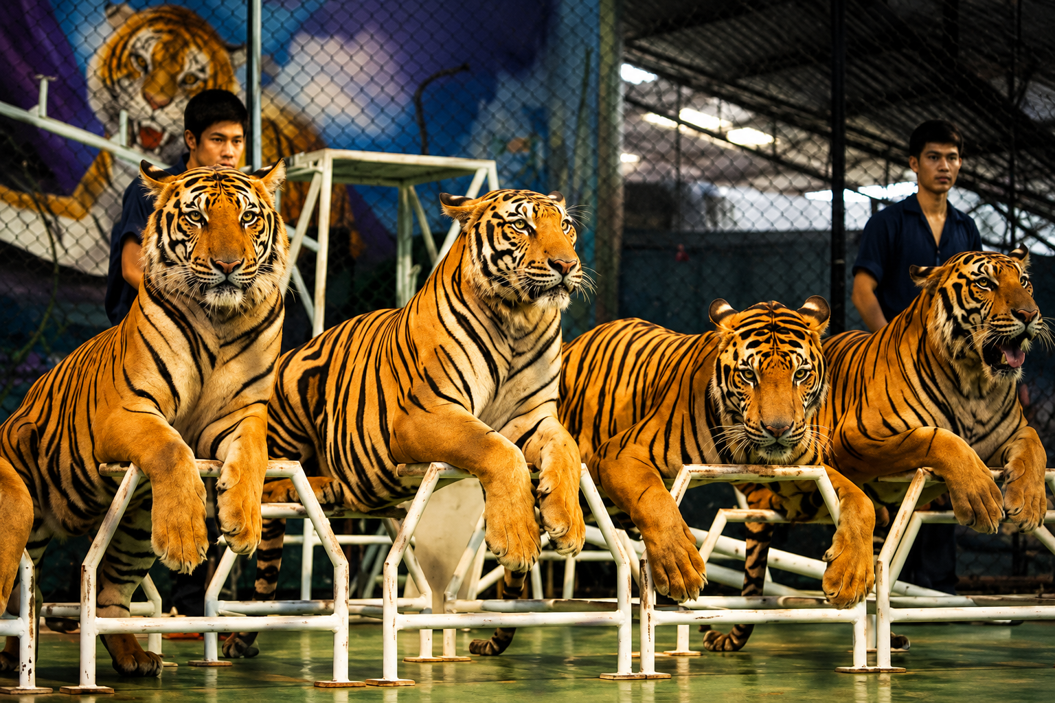 Thailand - 3N4D