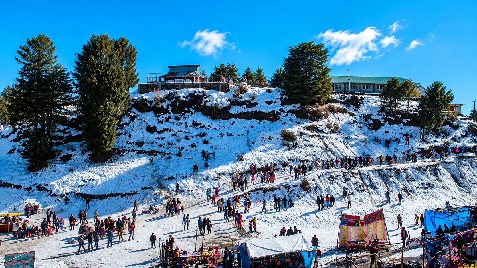 Shimla