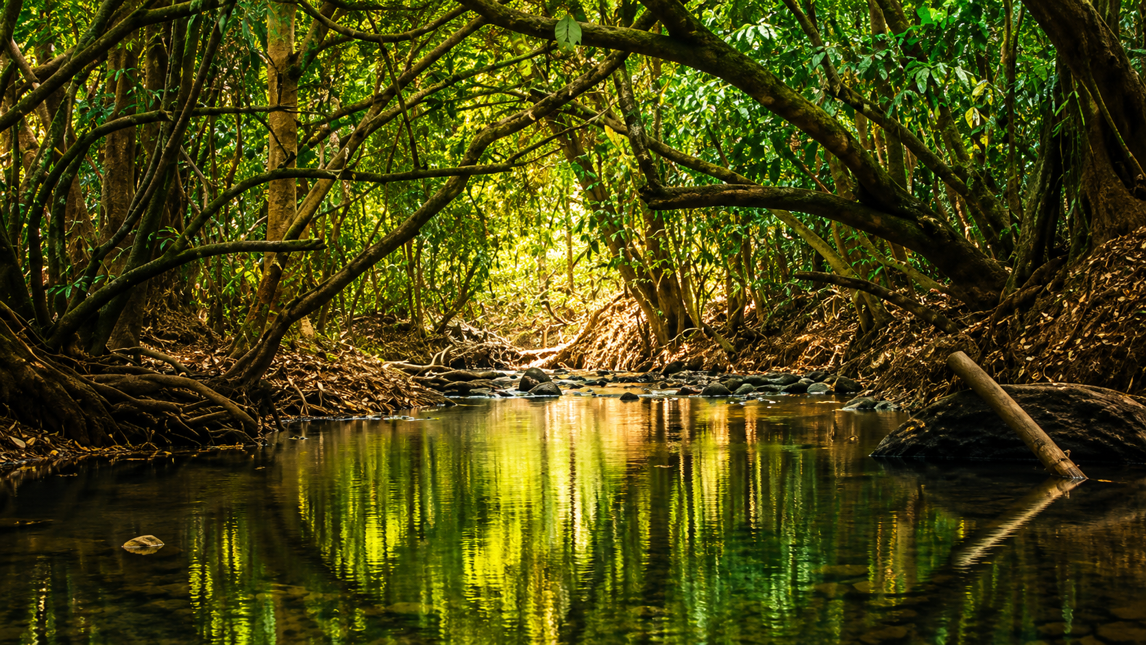Wayanad
