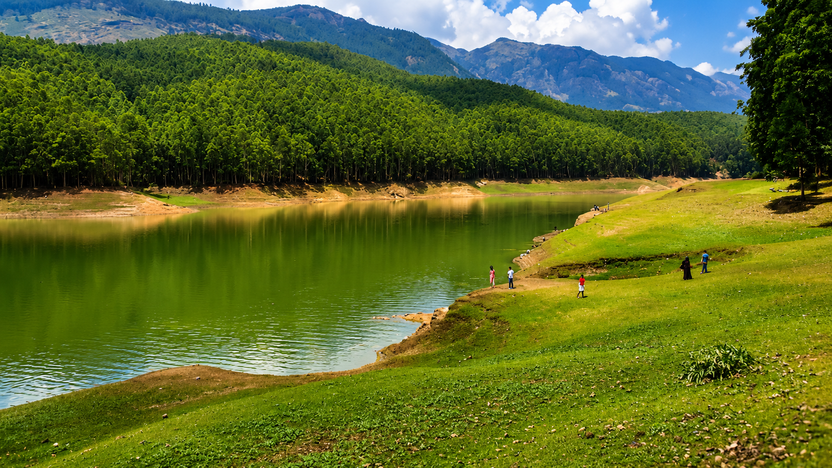 Munnar Sightseeing